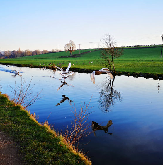 Flevoland